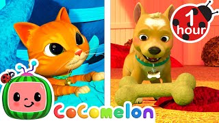 The Opposite Song  CoComelon  Cody Time  Nursery Rhymes [upl. by Netsirc]