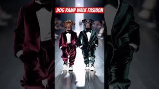 Dog fashion show dogowner rotter pets dog dogbreed dogshow2024 dogshow [upl. by Beaver]