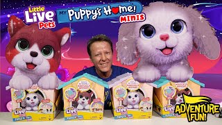 6 Little Live Pets My Puppy’s Home Minis Build Home amp Puppy Magically Arrives Toy Adventure Fun [upl. by Nigle]