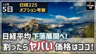 【日経225オプション考察】125 日経平均 下落展開へ！ 割ったらヤバい価格帯はココだ！ [upl. by Appilihp767]