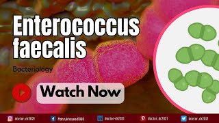 Enterococcus faecalis Classification Virulence and Antibiotic Resistance  A Comprehensive Guide [upl. by Rehpoitsirhc]