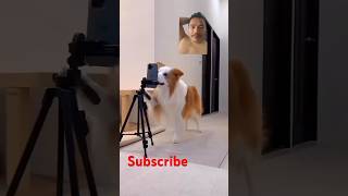 Enjoi doglover shortvideo tiktok [upl. by Derwon]