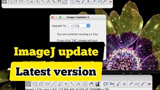 How to update ImageJ to the newest version ImageJ latest version ImageJ [upl. by Fritzie]