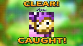 Pokemon Picross  Aipom  S2401  20241113 [upl. by Naicad]