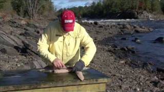 Filleting Pike Technique  boneless pike fillets [upl. by Omsare]