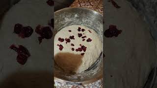 Adding Cranberries to Bread Dough [upl. by Lynd]