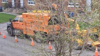 Tree Cutting In Overbrook Ottawa🇨🇦🌳🚚ottawacanada ottawalife ottawaontario ottawavalley work [upl. by Attenborough]