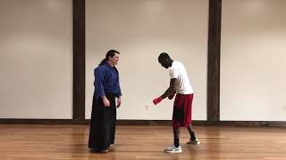 Handling Real Strikes with Aikido [upl. by Susejedesoj]