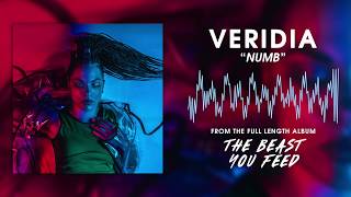 VERIDIA  quotNumbquot official audio [upl. by Lael]