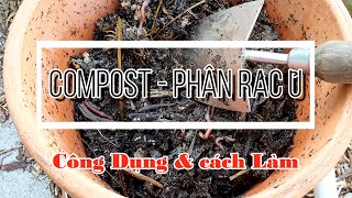 Hai Cách Ủ Phân Bón Compost Rất Dễ Làm [upl. by Bohrer]