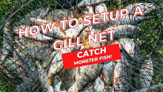 How to Setup a Gill Net amp Catch Monster Fish [upl. by Bacon]