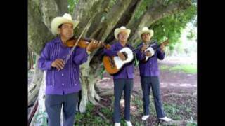 La pasión  Camperos de Valles y los Leones de la sierra de Xichú Sólo audio [upl. by Lee495]