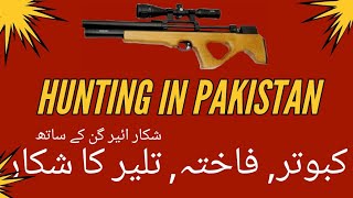 New video Starling amp dove  hunting in Pakistan [upl. by Azilem328]