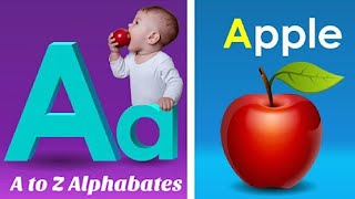 ABC Phonics Song  Abc lyrics song  Tiny Tots  Kiddos Study Zone  ABC Song  Toddler Learning [upl. by Nanji]