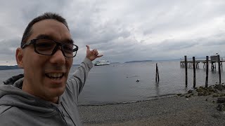 SCUBA Diving for Dungeness Crab Puget Sound 2020 Mukilteo WA [upl. by Kulsrud]