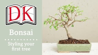 Bonsai Styling Your First Bonsai Tree [upl. by Nnyrat]