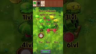 Все гибриды арбуза мётаsunflowerpvzfusionpvz2pvzfusioneditionwatermelon [upl. by Shaff452]