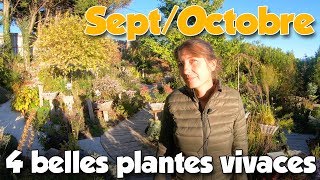 4 plantes vivaces pour embellir le jardin en automne [upl. by Tubb]