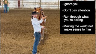 Help The World Make Sense To Your Horse [upl. by Herod]