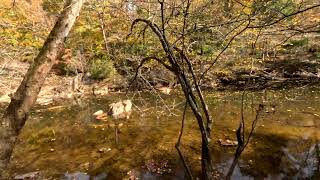 Hiking Eno River State Park Laurel Bluffs Trail to Pump Station Trail part 3 [upl. by Nekciv]