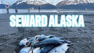 Snagging For Sockeye Salmon In Seward Alaska 2024 [upl. by Ahsiloc]