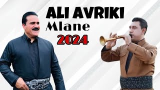 Ali avriki mlane 2024  علي افريكي ملانئ ٢٠٢٤ [upl. by Sherie803]