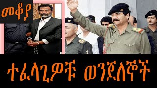 Mekoya  ተፈላጊዎቹ ወንጀለኞች  መቆያ በእሸቴ አሰፋ [upl. by Buonomo]