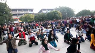 Flash Mob  Sector 17 Chandigarh OFFICIAL [upl. by Haela]