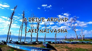 NAIVASHA trending travel vasha naivasha [upl. by Woodman550]