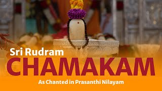 Sri Rudram  Chamakam with Lyrics amp Meaning [upl. by Tannie]