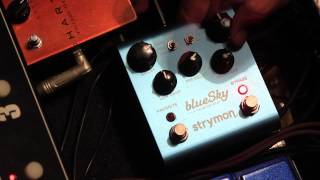 A Few Minutes with the Strymon Blue Sky [upl. by Nette377]