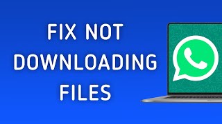 How To Fix Whatsapp App Not Downloading Files On Pc New Update [upl. by Cly435]