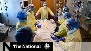 Ontario doctors prepare to triage care for sickest COVID19 patients [upl. by Yna]