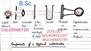 Colorimeter  Colorimetry  BSc  Introduction  Laws Working  Use  Advantages  Disadvantages [upl. by Sixla]