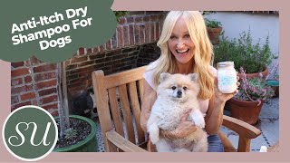 DIY Dry Shampoo For Dogs  Natural Dog Flea Odor amp Itch Solution [upl. by Shetrit]