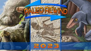 PaleoRewind 2023  April Troodon Eggs The Oldest Bat Speices and Gremlin Lizards [upl. by Newberry]