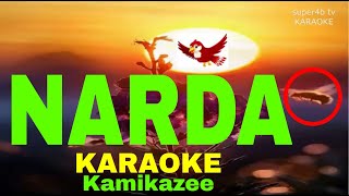 NARDA By Kamikazee KARAOKE Version 5D Surround Sounds [upl. by Ever]