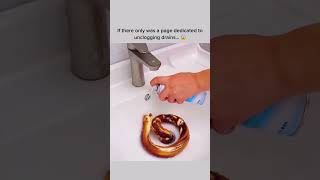 Can You REALLY Fix Your Shower Drain in 72 Hours [upl. by Airotnes]