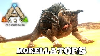 Taming A Morellatops  Ark Survival Evolved  Scorched Earth [upl. by Mallorie991]