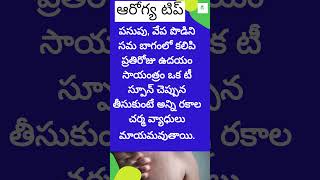 ఆరోగ్య టిప్  చర్మ వ్యాధులు టిప్  skin diseases TheWellnessWayW healthywayoflife [upl. by Eirrehs]