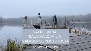 Nakkeuintia kausivaloja ja valkosipulin istutusta [upl. by Enenej]