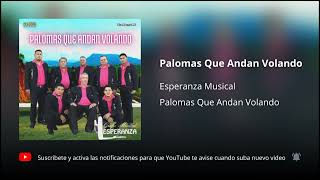 Esperanza Musical  Palomas Que Andan Volando 2023 [upl. by Irod]