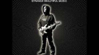 Joe Satriani  strange beautiful music full album [upl. by Dwight]