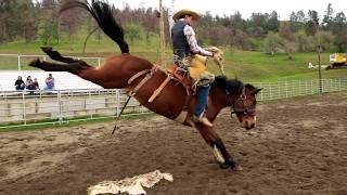 Epic Bronc Riding Practice  32419  Veater Ranch [upl. by Aras]