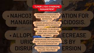 Tumor Lysis Syndrome Management [upl. by Seni]