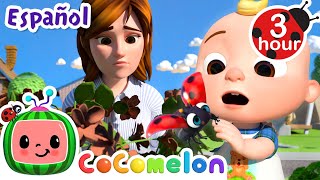 ¡El Abono  CoComelon y los animales 🍉 Dibujos animados para niños [upl. by Ettezzil395]