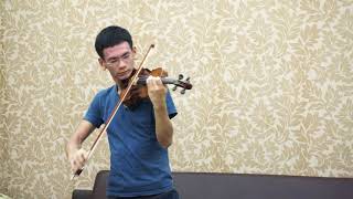 Lorenzo Storioni 1790 violin demonstration on Tchaikovsky D major 1 [upl. by Lyudmila]