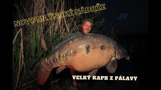 Rybí svět Jakuba Vágnera KAPR NOVÉ MLÝNYodchov a lov kapra HD [upl. by Ayama267]