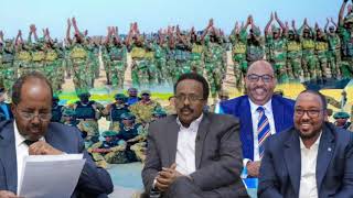 Mamulada Dowlaada Somaliya Qorshaha Xasan Wakey Kuu Kala Tagi Lahayen [upl. by Eamanna]