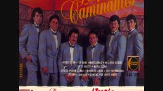 los caminantes puras cumbias [upl. by Sancha]